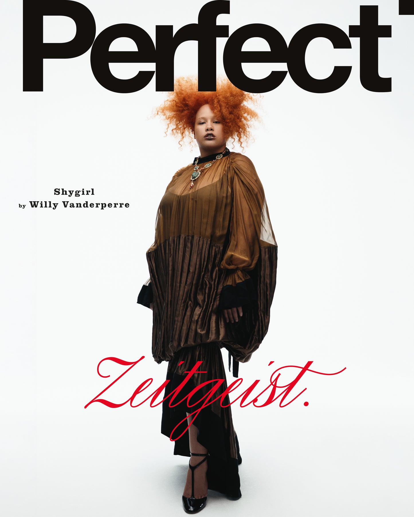 Perfect Issue 11 | Shygirl