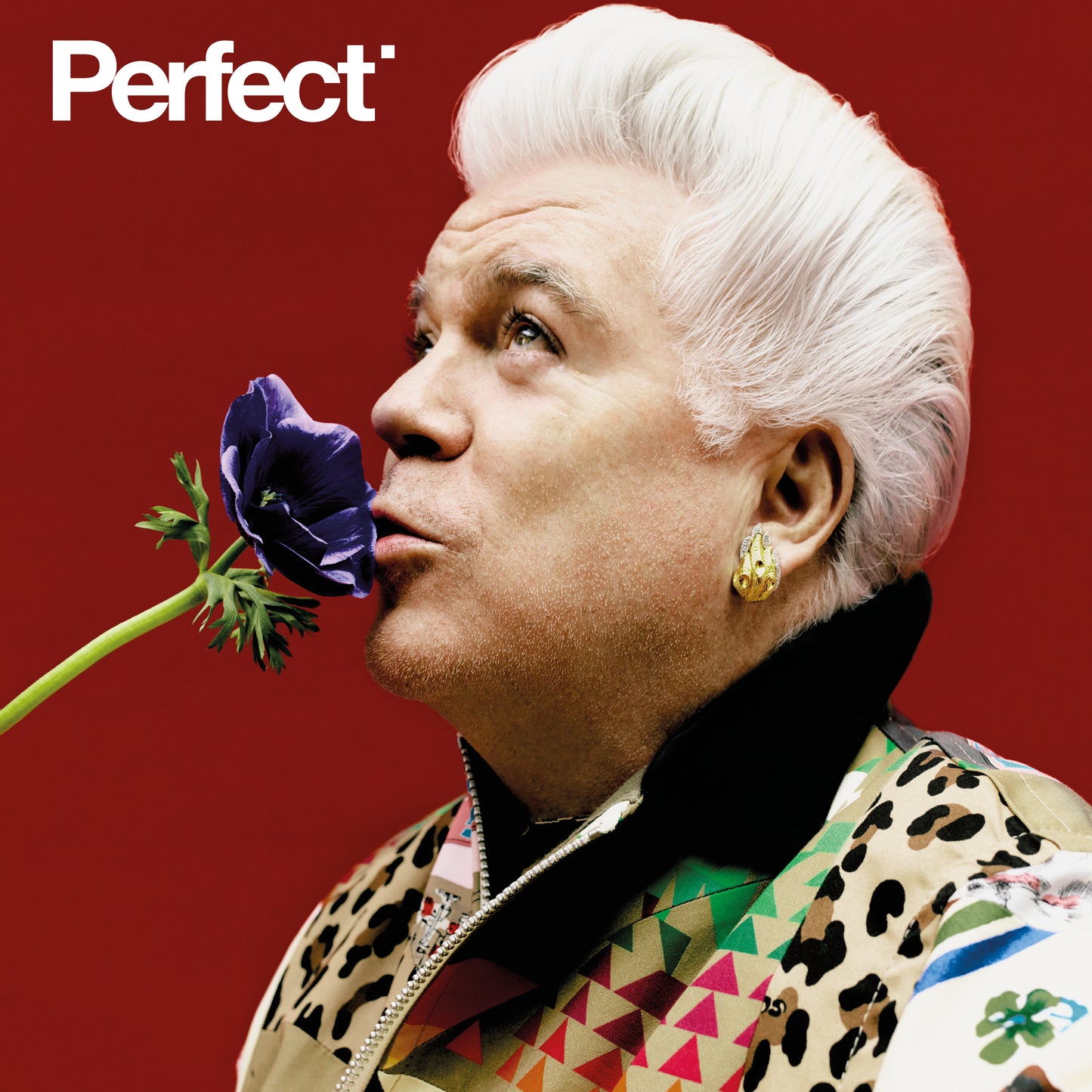 Perfect Issue 0 | Tim Blanks