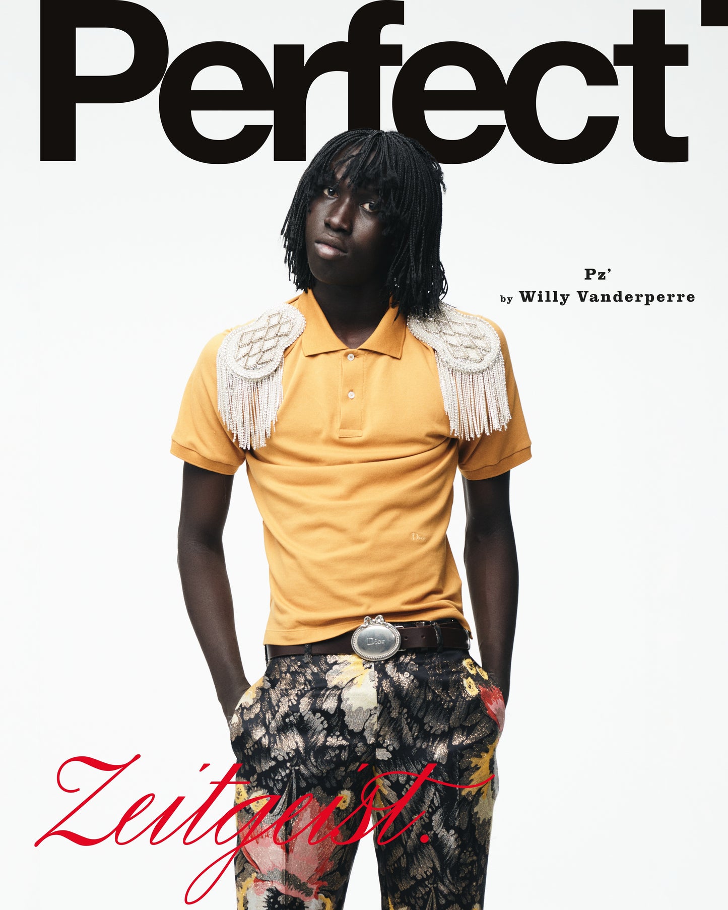 Perfect Issue 11 | Pz'