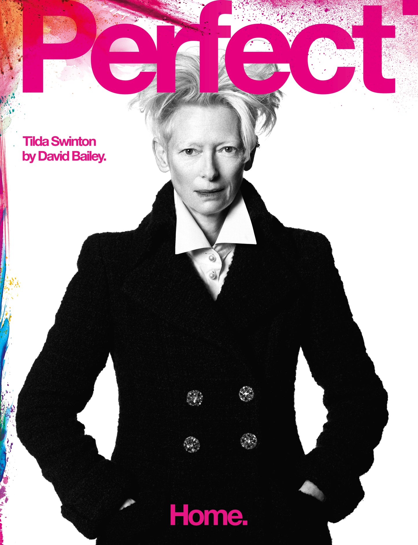 Perfect Issue Six | Tilda Swinton.