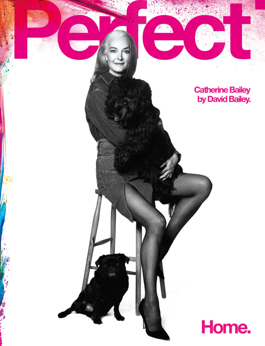 Perfect Issue Six | Catherine Bailey.