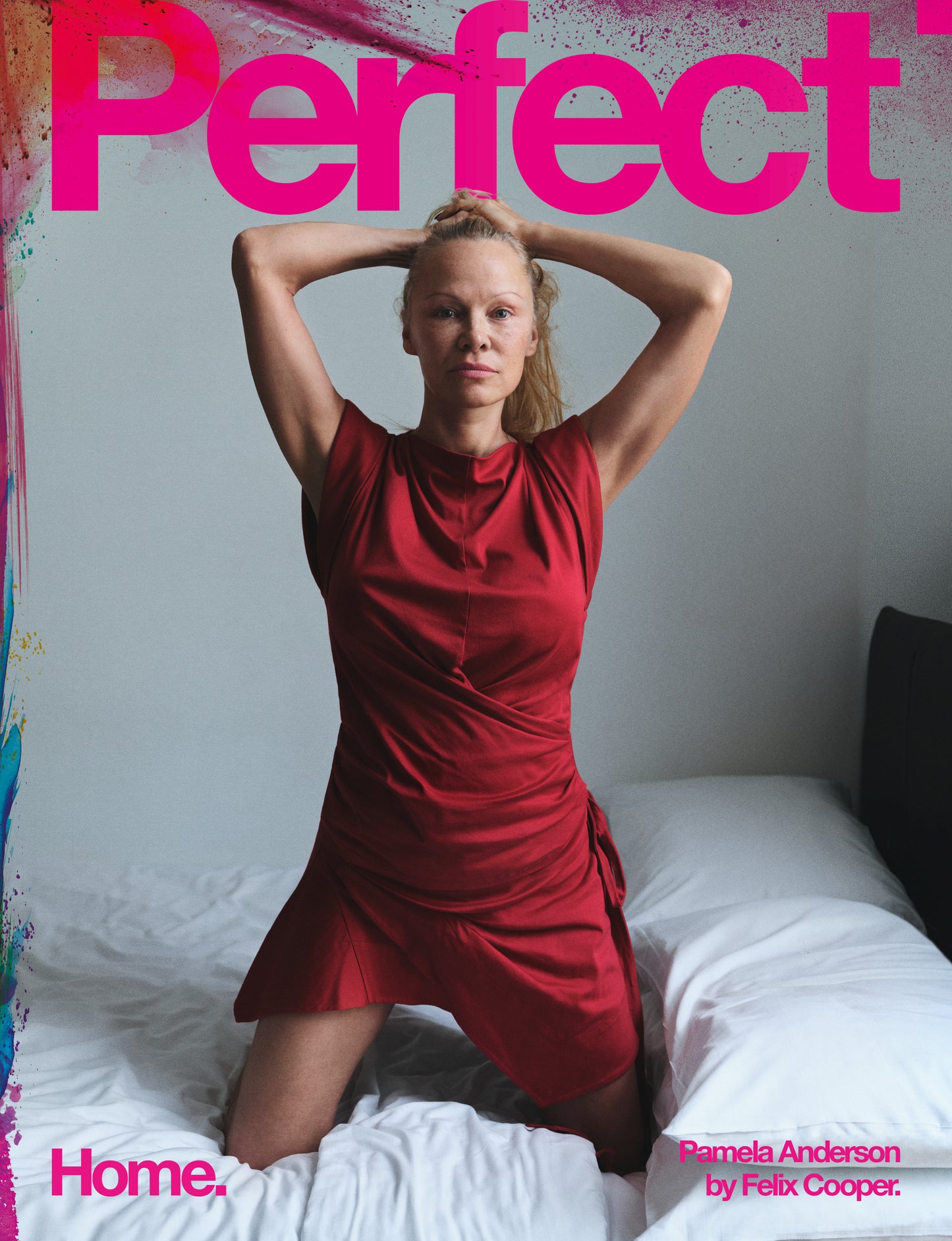 Perfect Issue Six | Pamela Anderson.