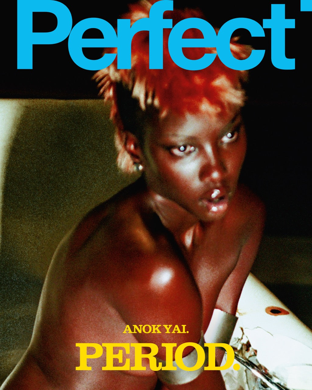 Perfect Issue Nine | Anok Yai