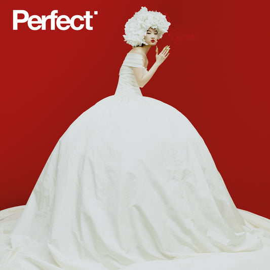 Perfect Issue 0 | Jundan Chen