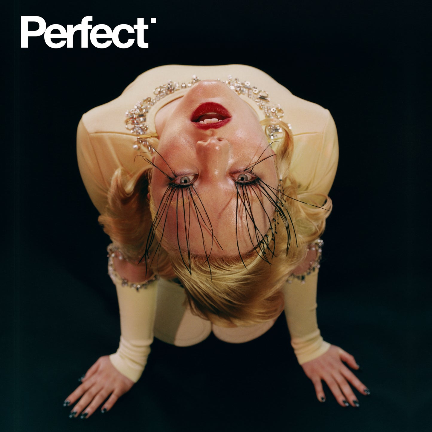 Perfect Issue 0 | Fallon Havanna