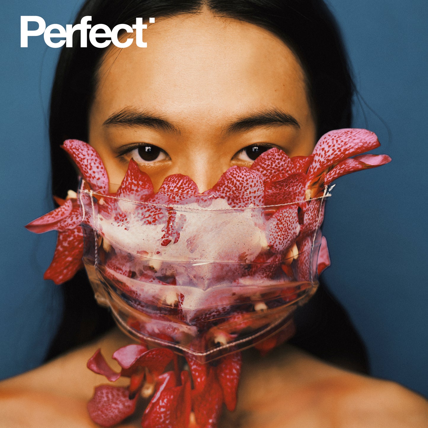 Perfect Issue 0 | Zoe Fang