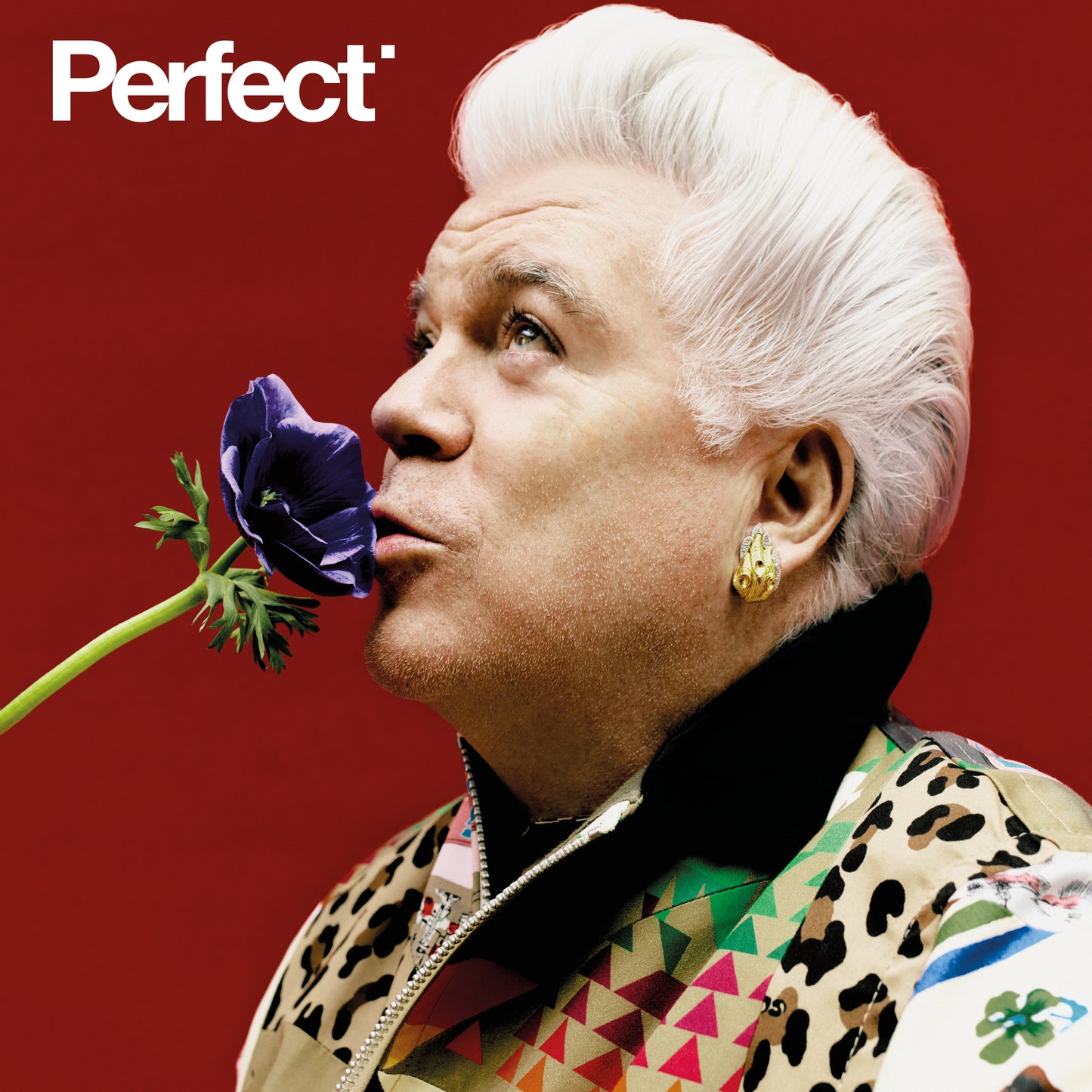 Perfect Issue 0 | Tim Blanks