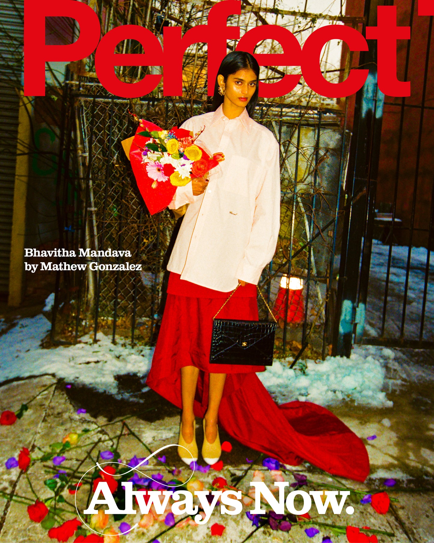 Perfect Issue 10 | Bhavitha Mandava
