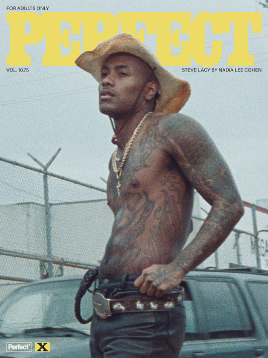 Perfect Steve Lacy Zine by Nadia Lee Cohen Vol 2 | Cover 2